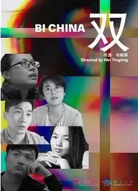 双：悬疑迷局，双重人格下的谎言与真相