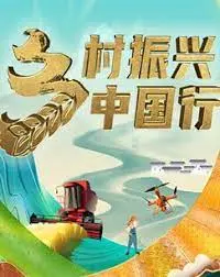 《乡村振兴中国行》：镜头下的时代脉搏与乡村蜕变
