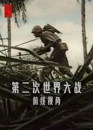 《世界第二次大战：前线经历》：炮火与人性的真实写照
