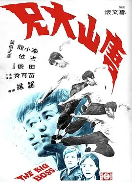 唐山大兄：经典功夫动作与兄弟情义的热血传奇