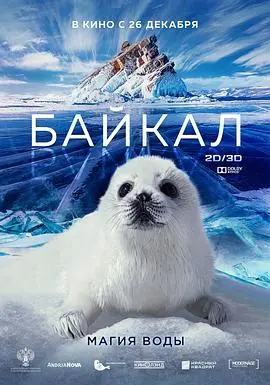 探索《神奇的贝加尔湖》：一场震撼心灵的自然之旅