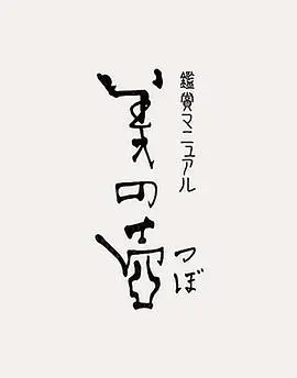 《美之壶》：NHK纪录片带你领略日本匠心之美，发现隐藏在生活中的艺术与禅意