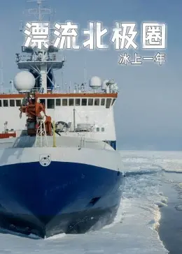 《漂流北极圈》：绝美极地风光下的生存史诗，一部关于勇气与希望的电影