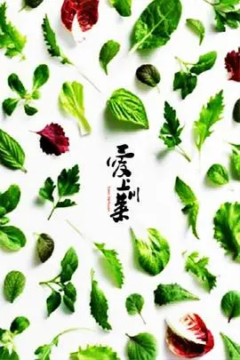 《爱上川菜》：舌尖上的爱情，麻辣滋味与人生的五味杂陈！