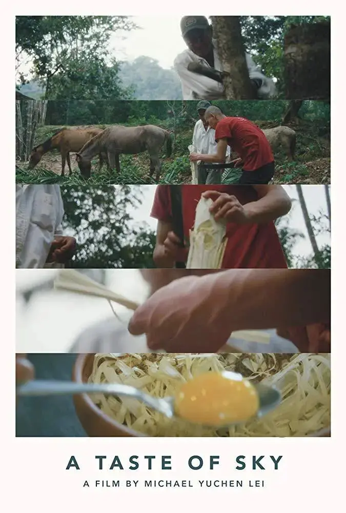 《天空的味道》影评：寻找童年记忆，治愈心灵的温暖之作