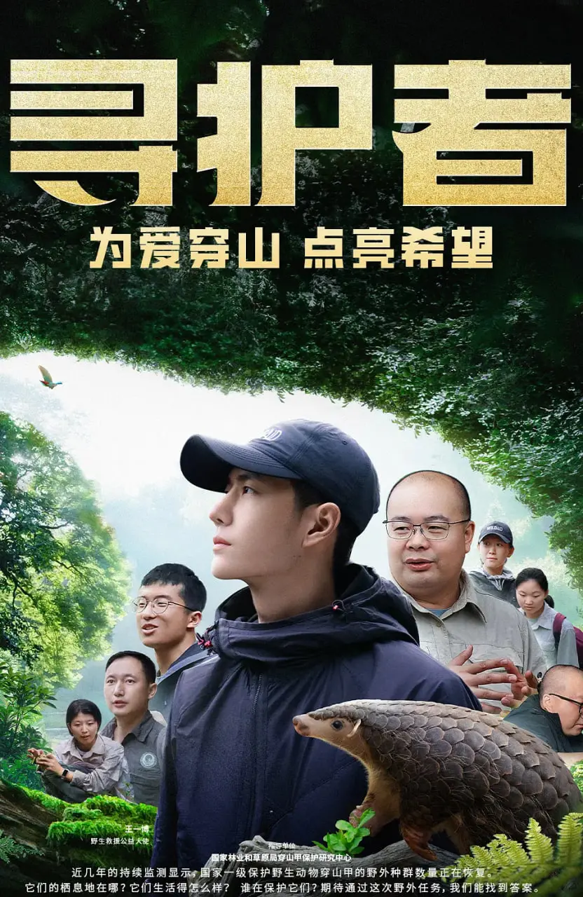 《寻护者》：一场跨越生死的救赎之旅，揭秘尘封的记忆与命运的轮回